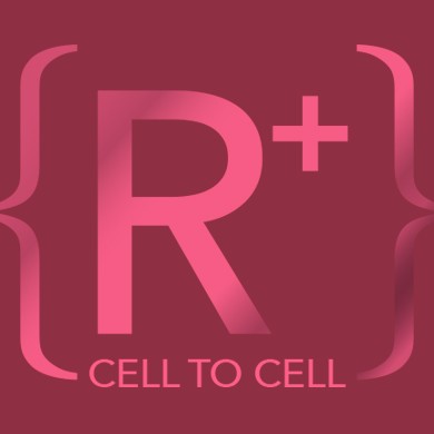 R+CELL TO CELL